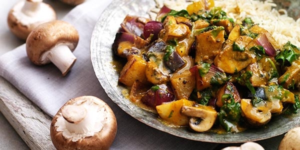 خوراک قارچ