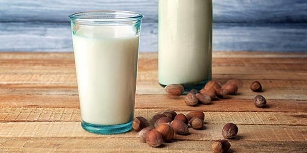 شیر فندق