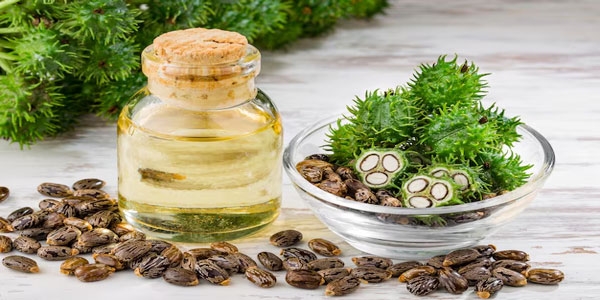 روغن کرچک چیست و چه خواصی دارد؟
