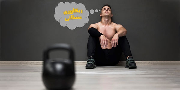 مدت زمان ریکاوری عضلات در بدنسازی