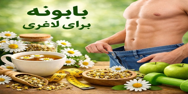 خواص بابونه برای لاغری