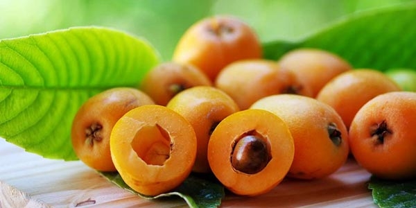 ازگیل
