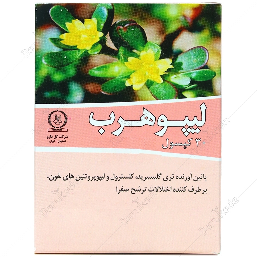 لیپوهرب