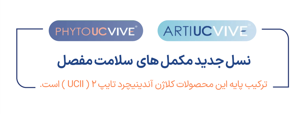 advertisment2