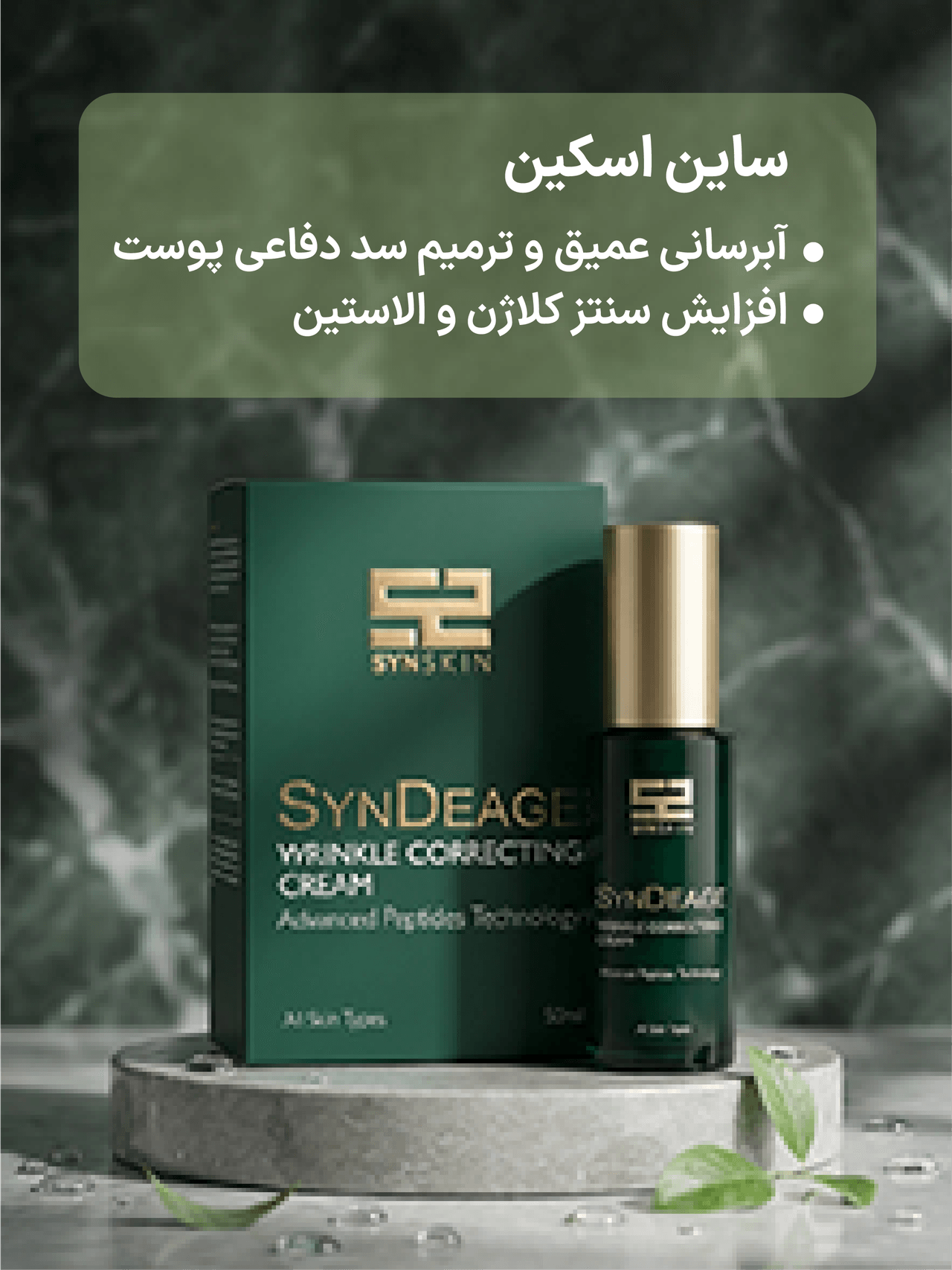 advertisment3
